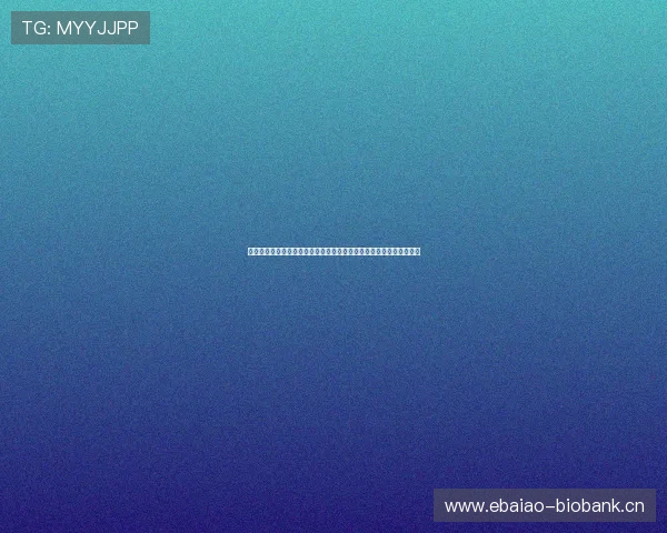 围绕星速官网打造一站式高效便捷服务平台的全新发展蓝图与未来展望 围绕星速官网打造一站式高效便捷服务平台的全新发展蓝图与未来展望